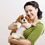 ddos在线攻击平台